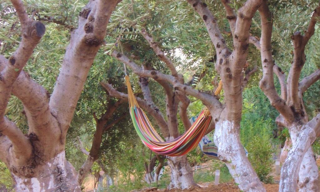 Kalliroe Apartments -Creta Agia Galini Quarto foto